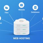 Web hosting management software